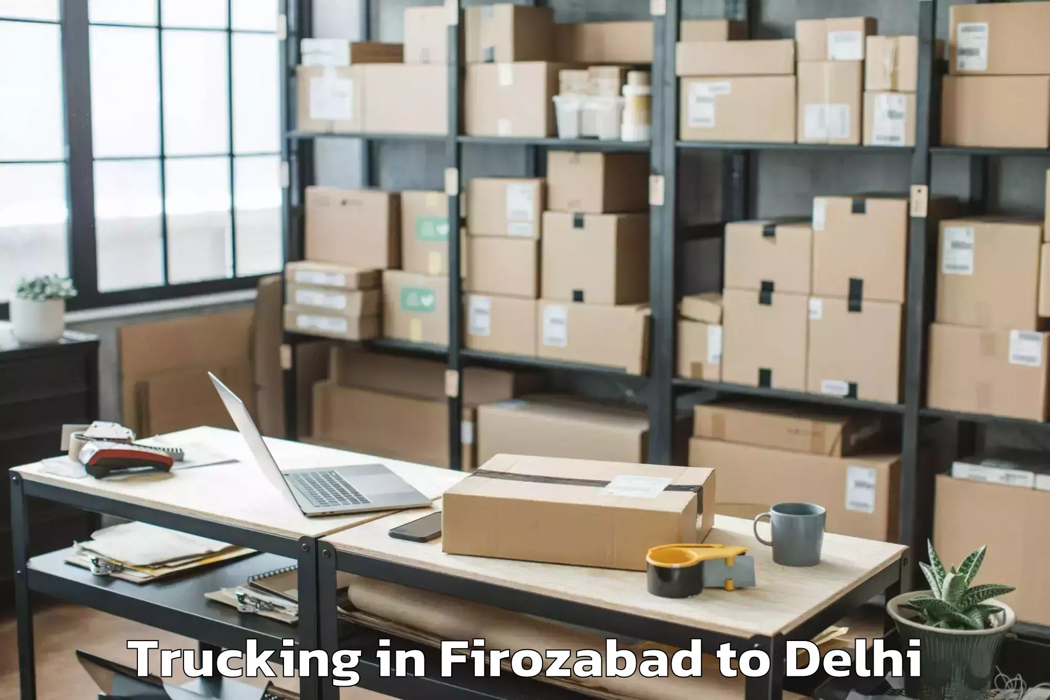 Book Firozabad to Vasant Square Mall Trucking Online